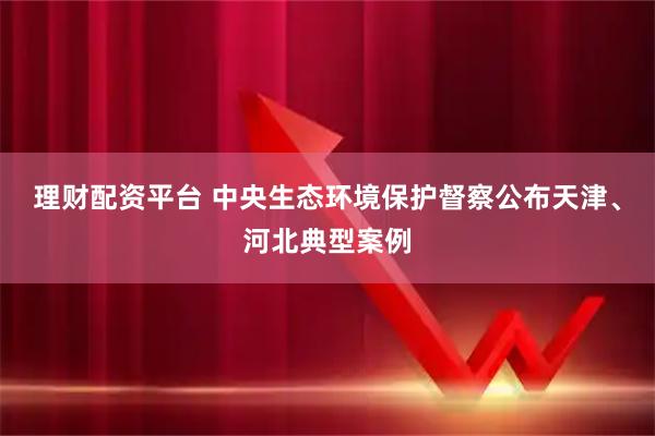 理财配资平台 中央生态环境保护督察公布天津、河北典型案例