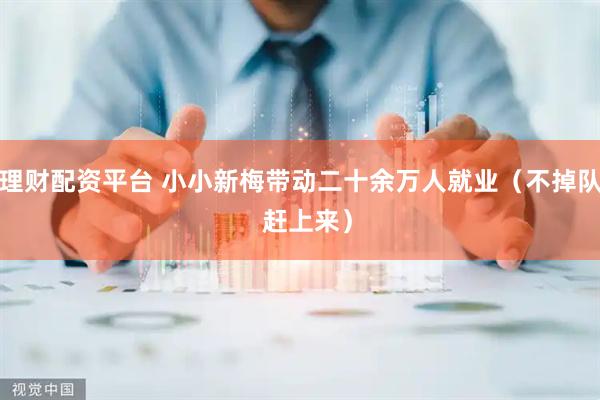 理财配资平台 小小新梅带动二十余万人就业（不掉队  赶上来）