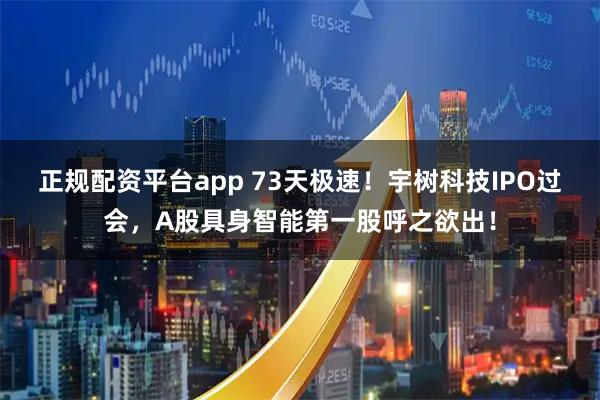正规配资平台app 73天极速！宇树科技IPO过会，A股具身智能第一股呼之欲出！
